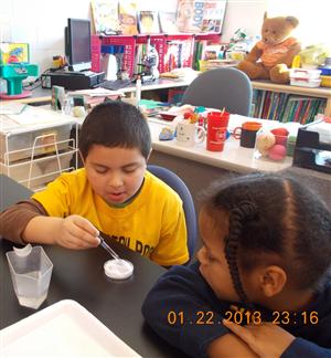 Kindergarten Scientists 