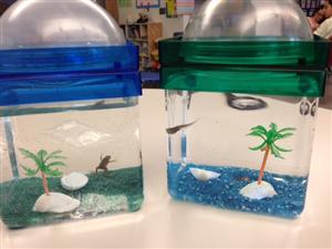 frog and tadpole 