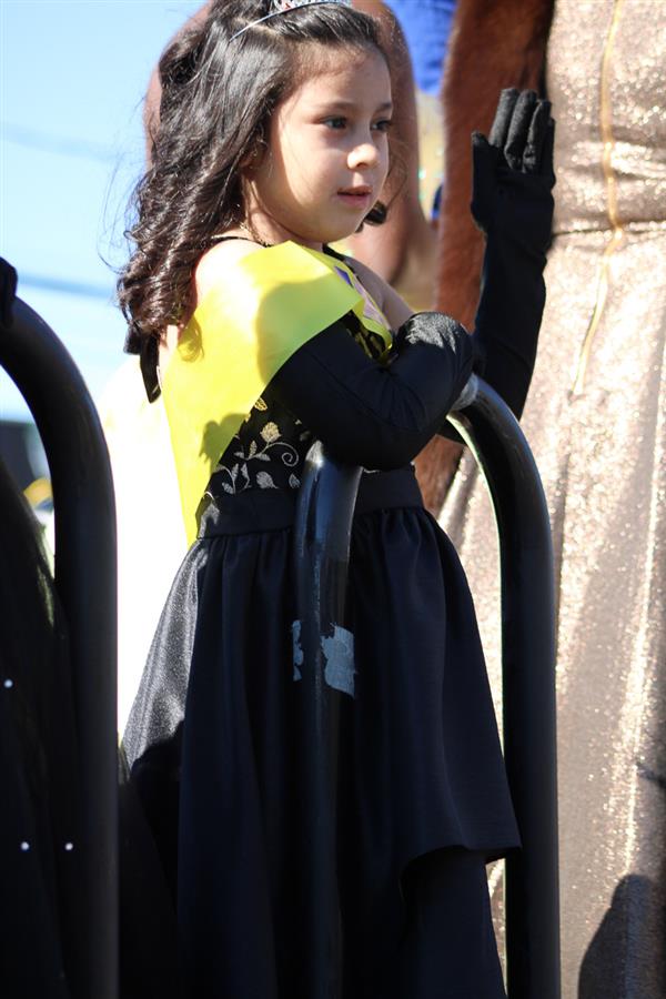 Homecoming Parade